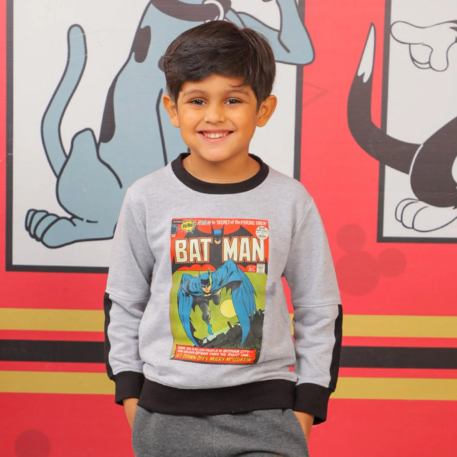 Boys Sweatshirt Cartoon Character - Grey