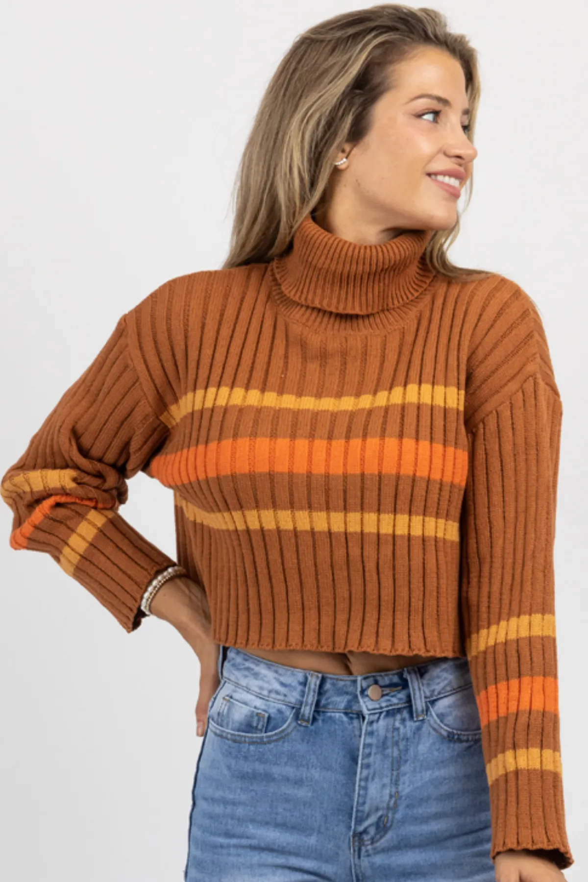 CINNAMON STRIPE TURTLENECK SWEATER