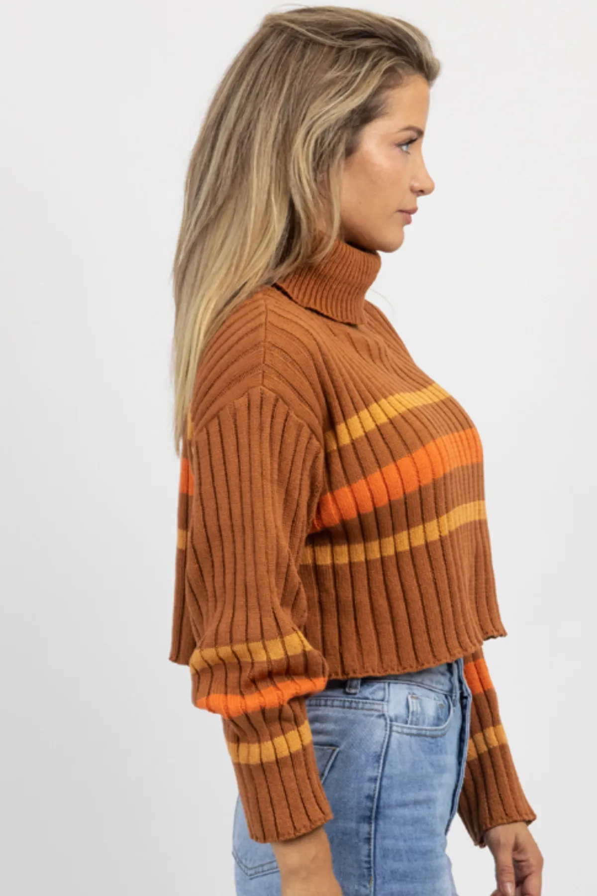 CINNAMON STRIPE TURTLENECK SWEATER