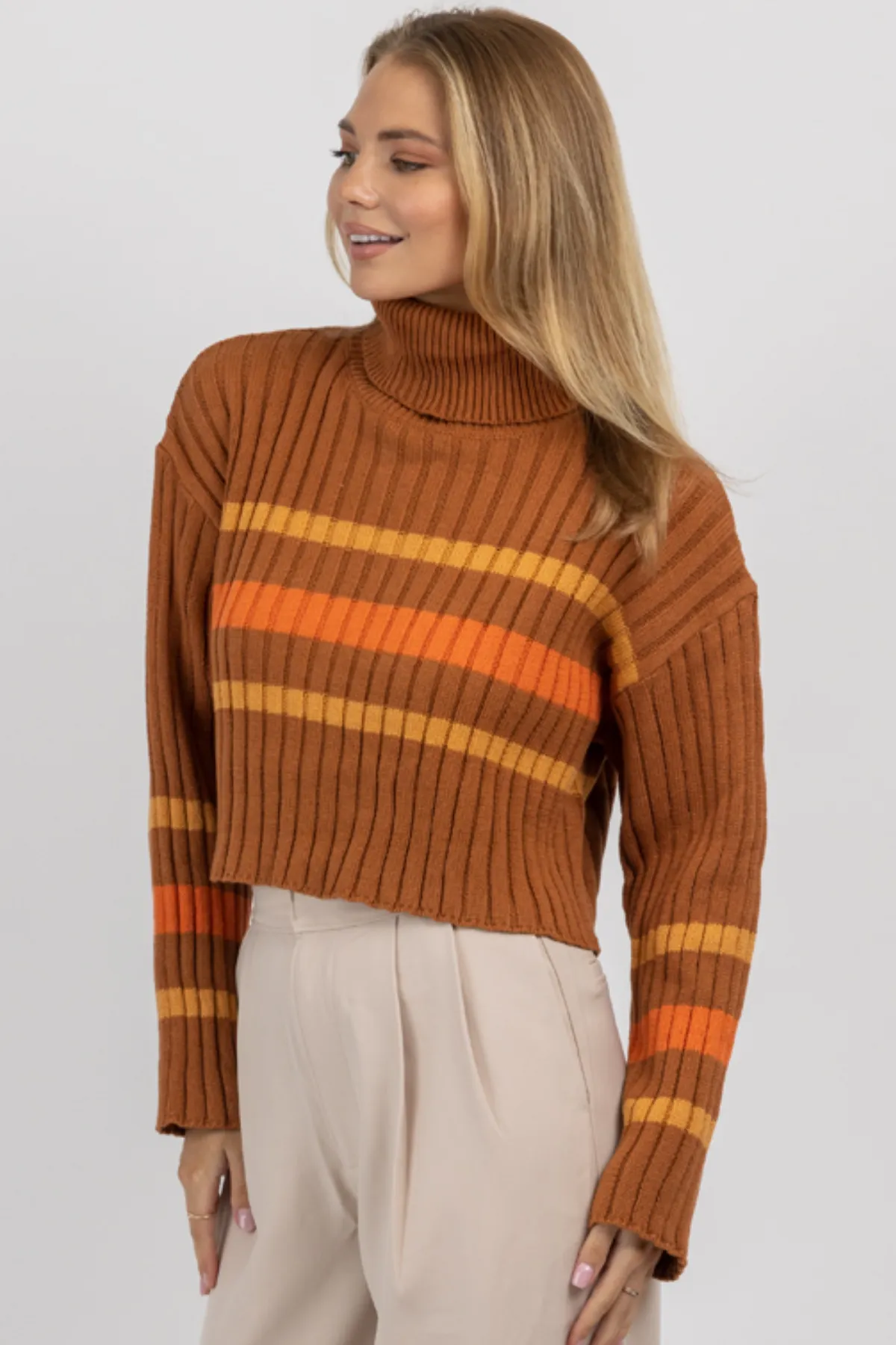 CINNAMON STRIPE TURTLENECK SWEATER