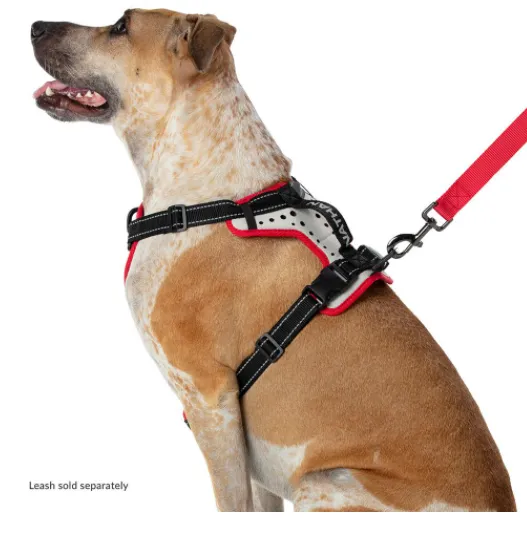 Nathan Dog Harness